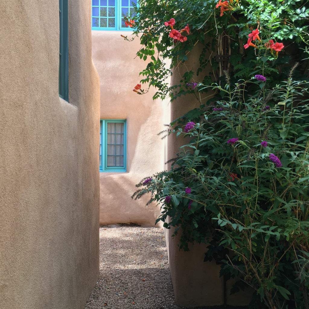 Adobe home and flowers